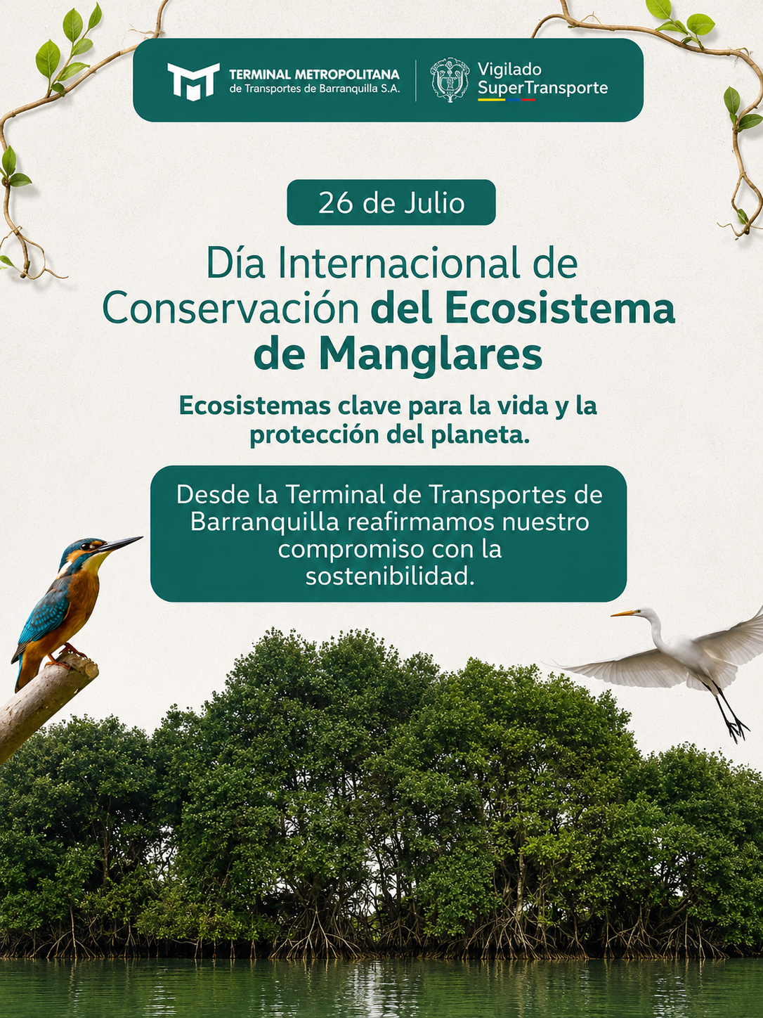 Afiche institucional del Día Internacional de la Conservación del Ecosistema de Manglares con una imagen de manglares, aves representativas y un mensaje sobre la importancia de proteger estos ecosistemas para la vida y el planeta.